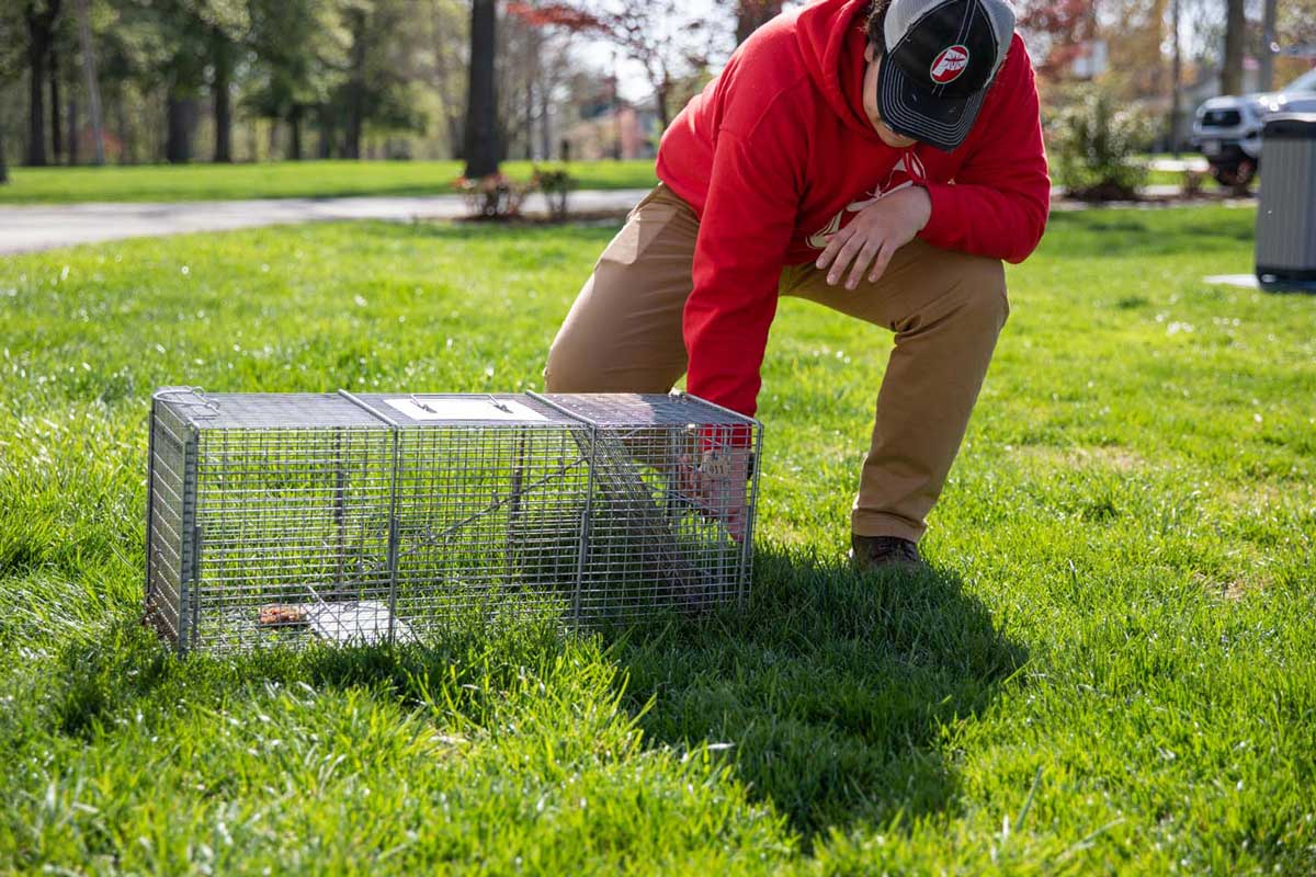 Rodent Control