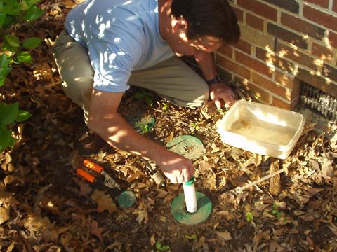Termite Baiting