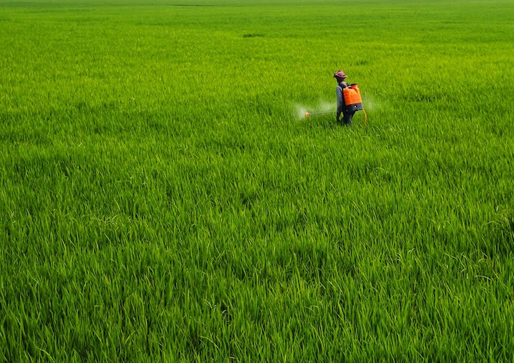 Weed Control